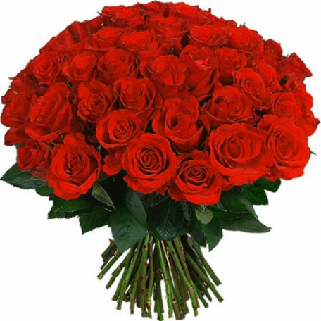 55 red roses bouquet