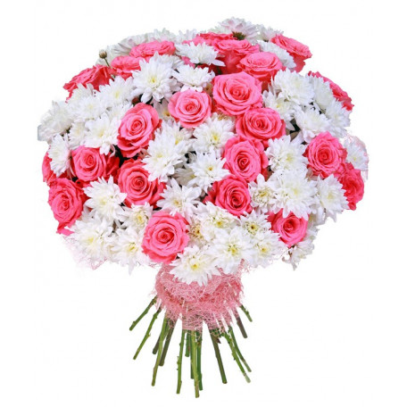 Pink Roses Bunch