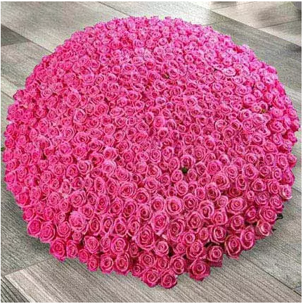 500 Pink Roses With Basket