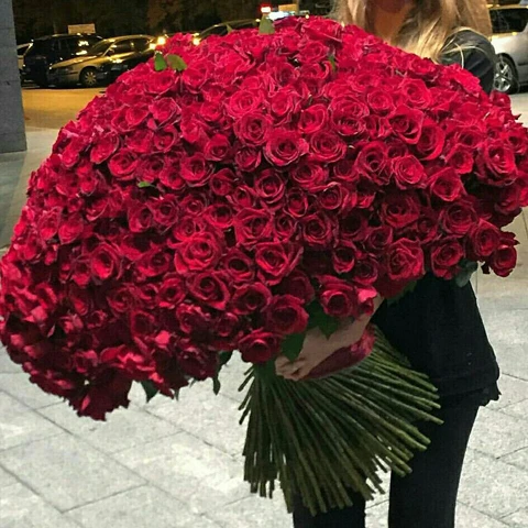 500 Long Stem Red Roses Bouquet